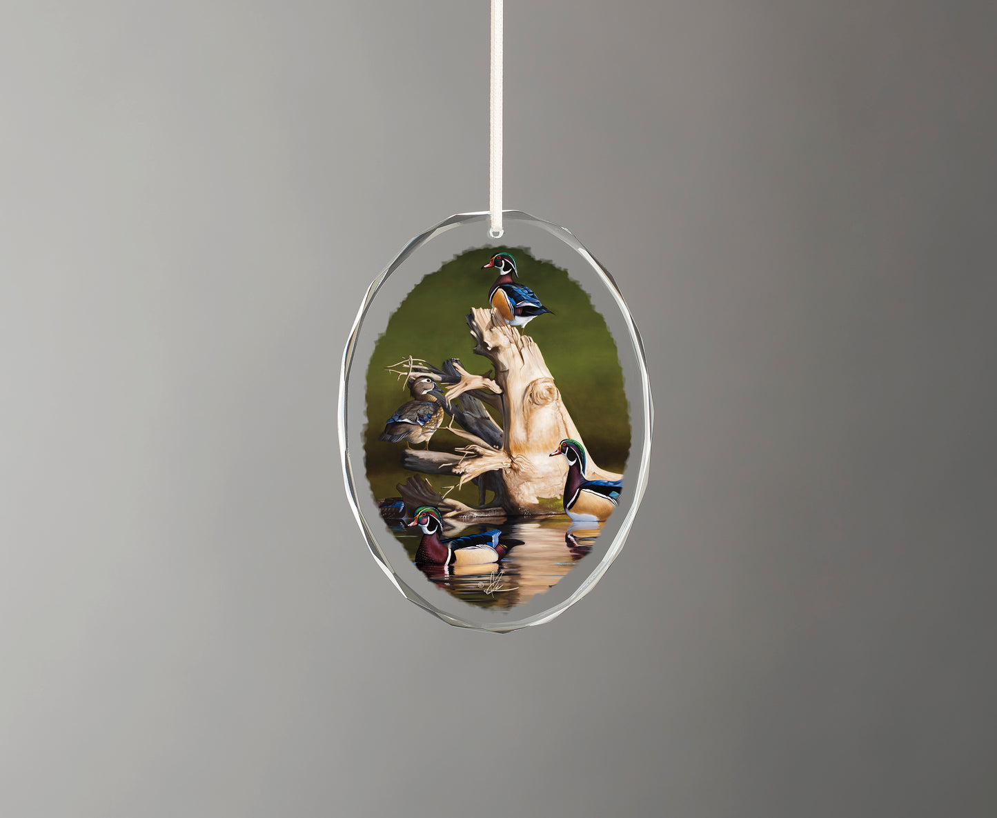 When the Water was Low - Oval Glass Ornament
