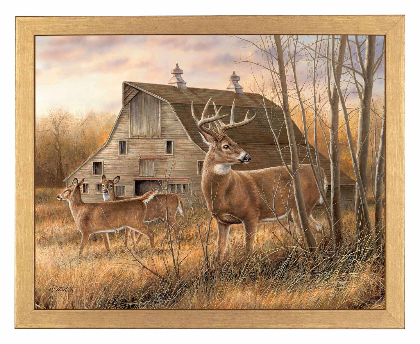 Deserted Farmstead - Whitetail Deer - Art Prints