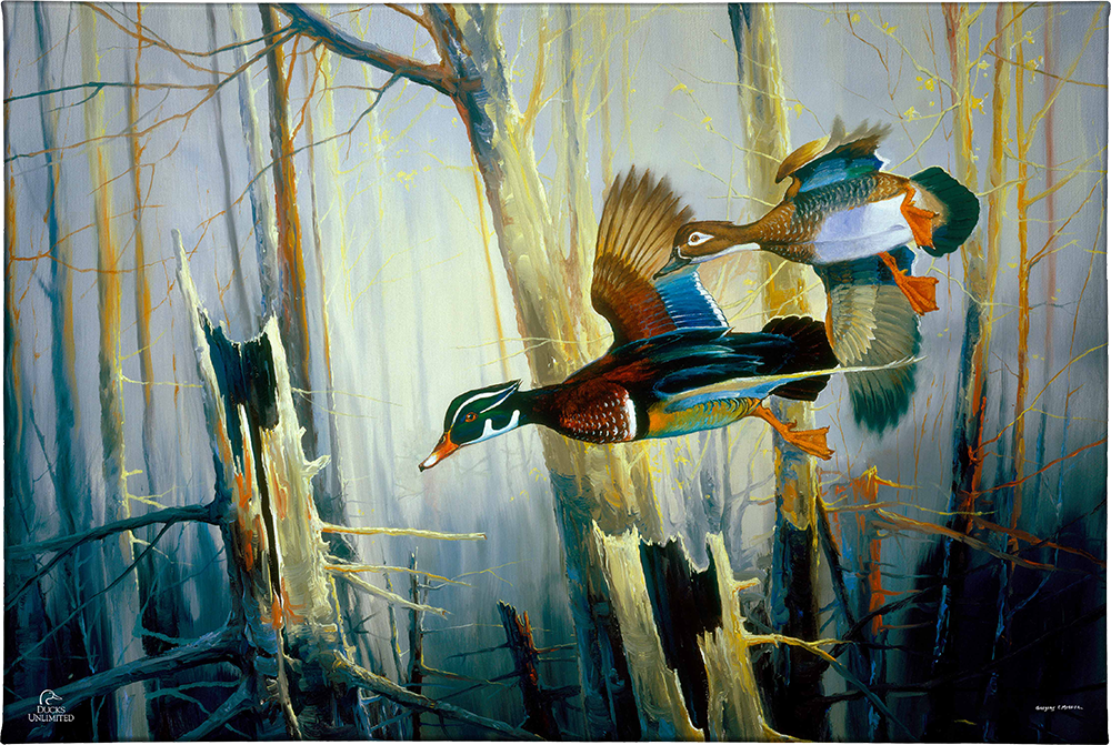 Aerobatics Gallery Wrapped Canvas - Official Ducks Unlimited Art