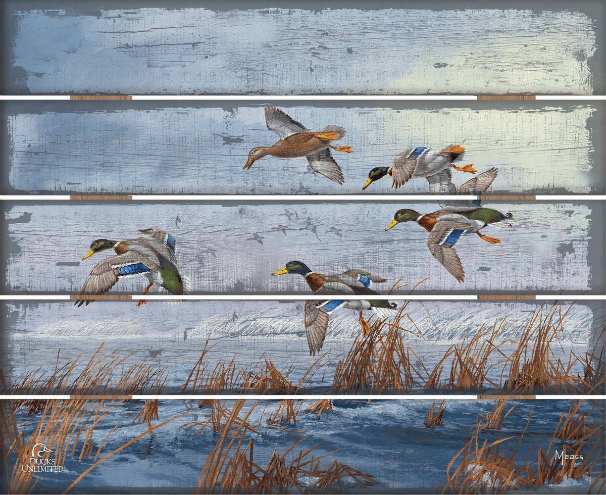 After a Passing Squall 18" x 22" Pallet Wall Art - Official Ducks Unlimited Art