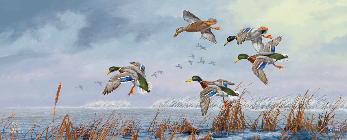 After a Passing Squall 12" x 30" Wood Sign - Official Ducks Unlimited Art