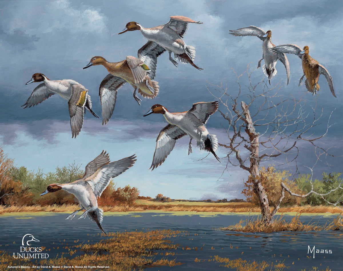 Autumn's Bounty Art Prints - Official Ducks Unlimited Art
