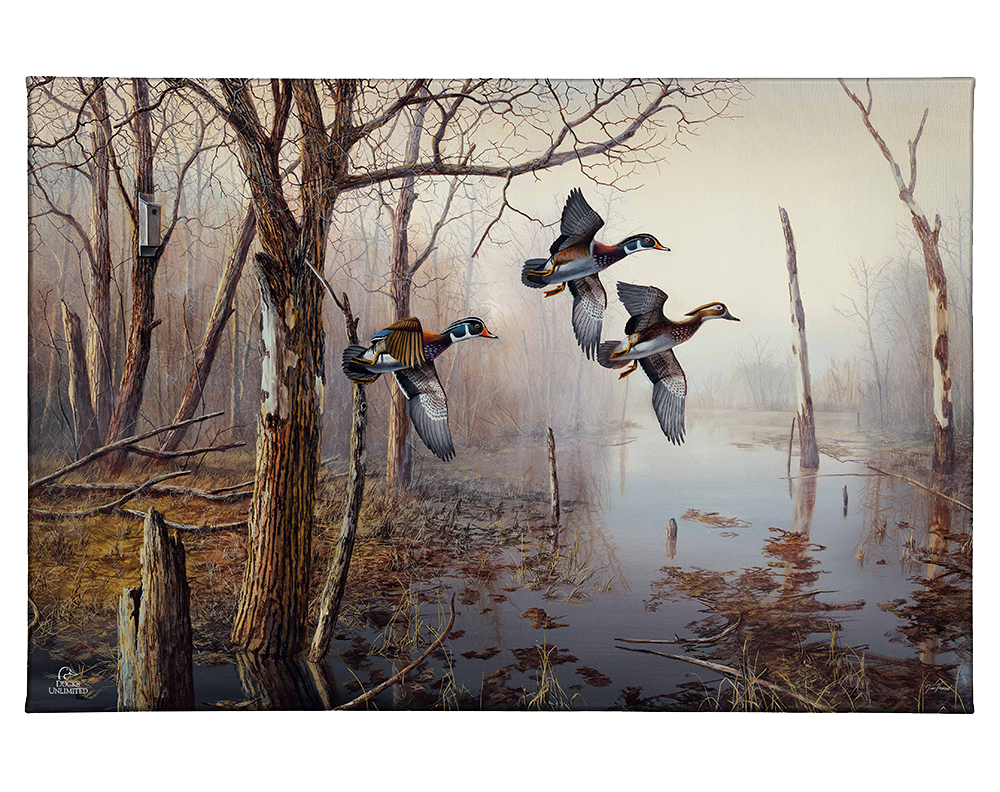 Backwater Gallery Wrapped Canvas - Official Ducks Unlimited Art