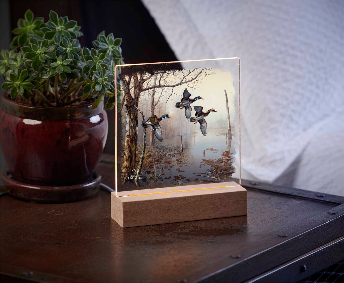Backwater 6.37" x 6" Acrylic Night Light - Official Ducks Unlimited Art