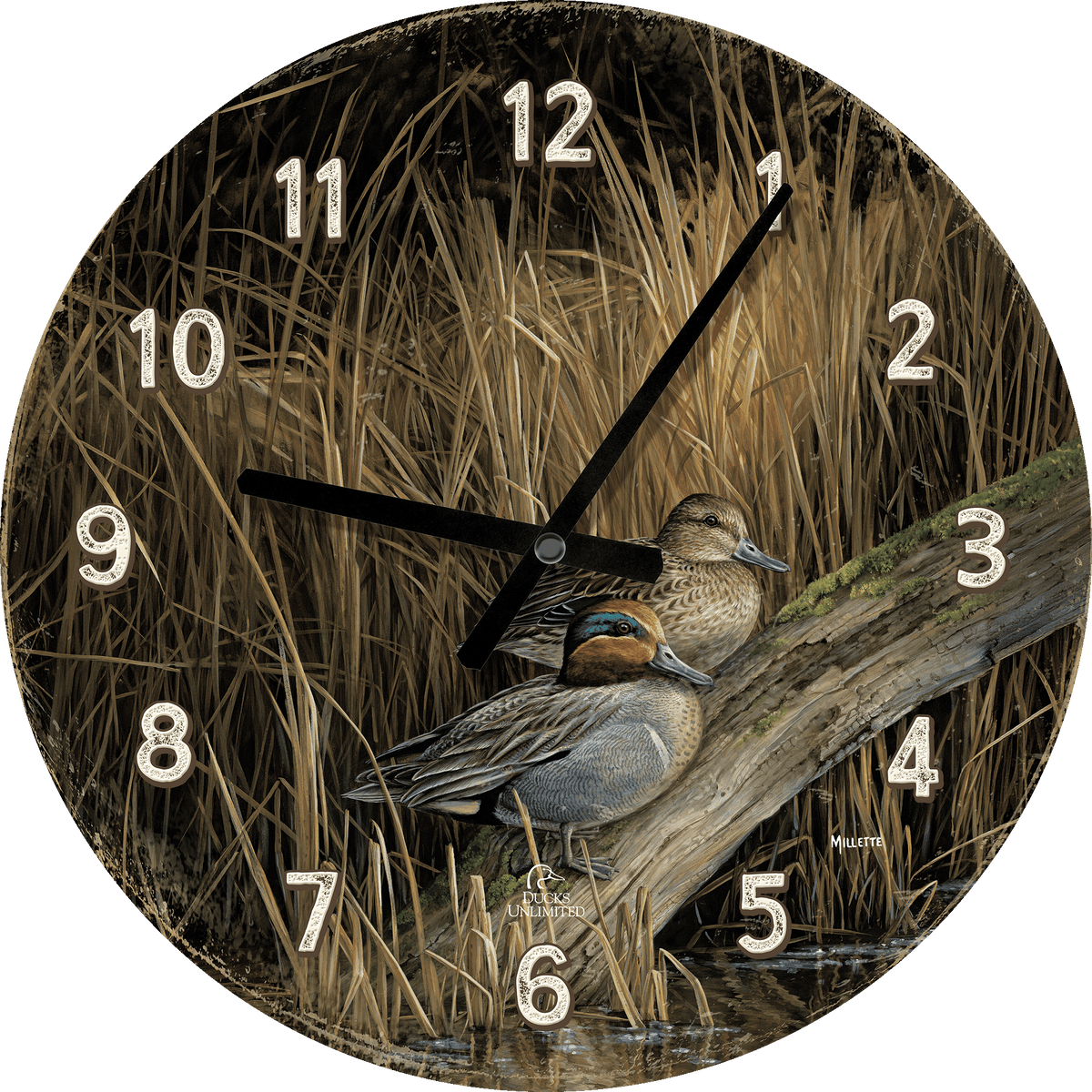 Backwaters - Green Winged Teal 21" Round Clock - Official Ducks Unlimited Art