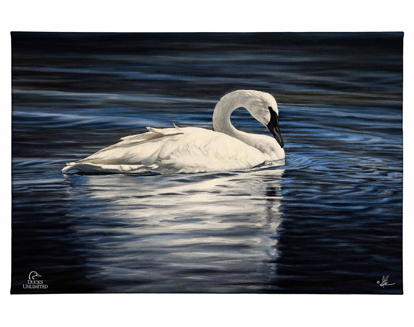 Beautiful Gallery Wrapped Canvas - Official Ducks Unlimited Art