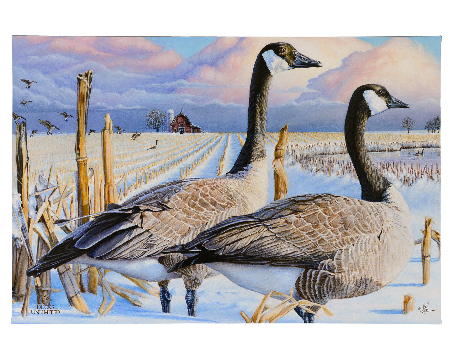 Canada Geese Gallery Wrapped Canvas - Official Ducks Unlimited Art