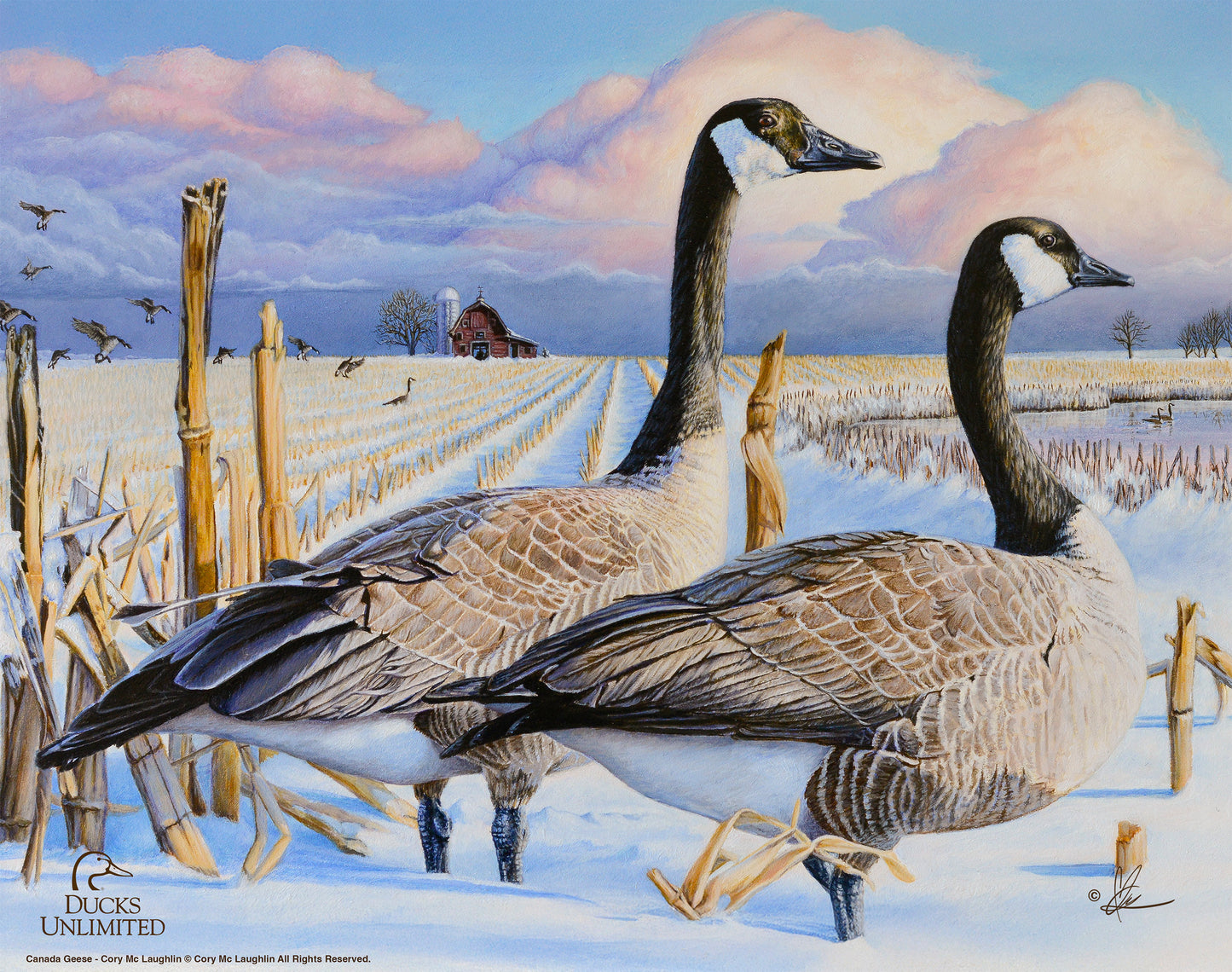Canada Geese Art Prints - Official Ducks Unlimited Art