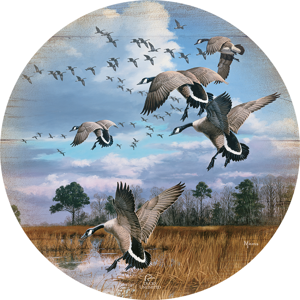 Canada Geese- Atlantic Flyway 21" Round Wood Sign - Official Ducks Unlimited Art