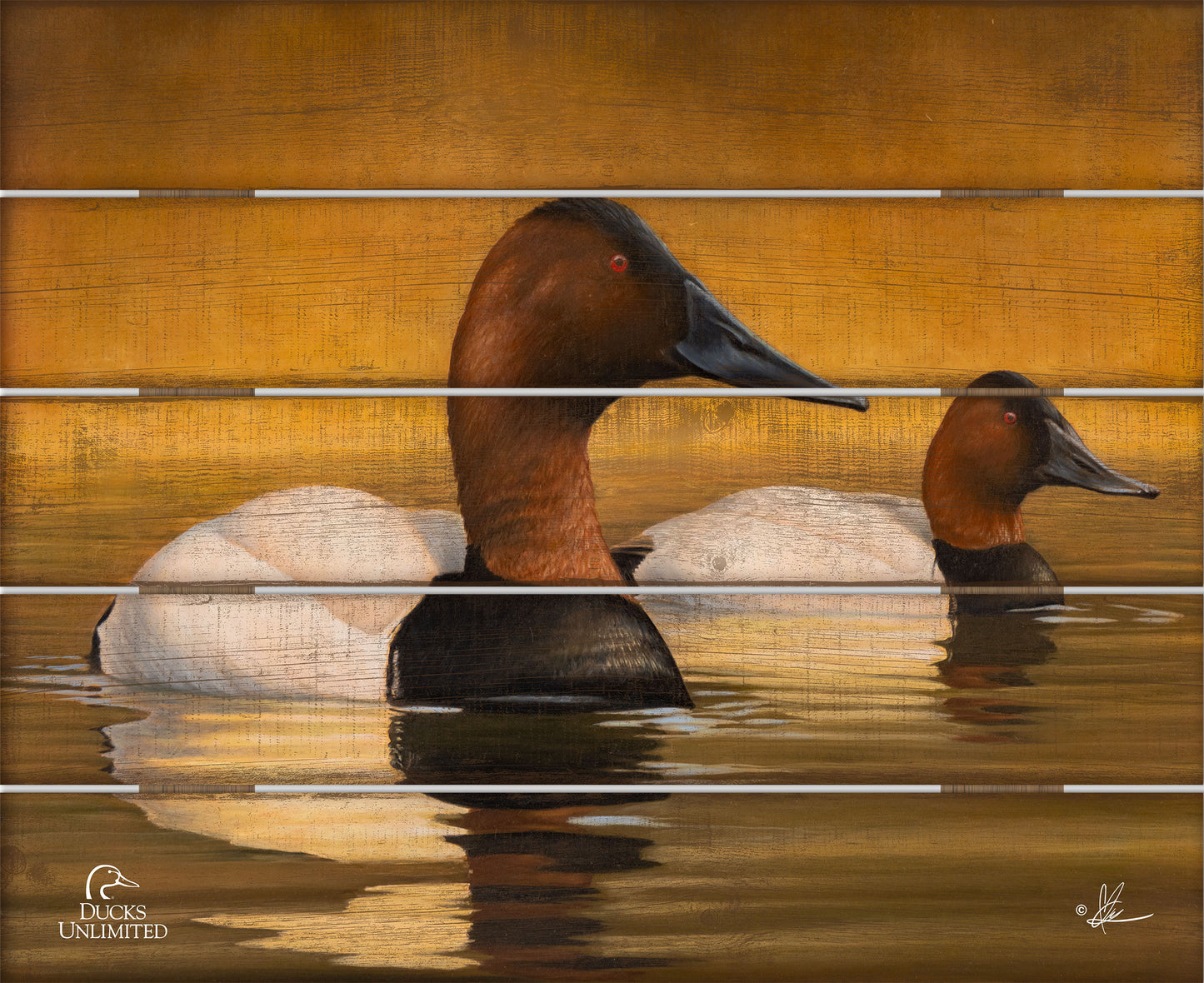 Canvas Back 18" x 22" Pallet Wall Art - Official Ducks Unlimited Art