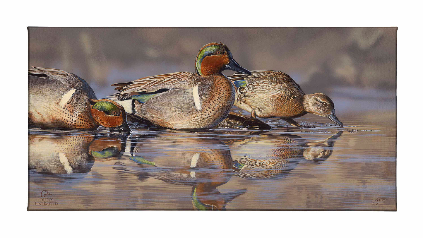 Dabbling Greens Gallery Wrapped Canvas - Official Ducks Unlimited Art