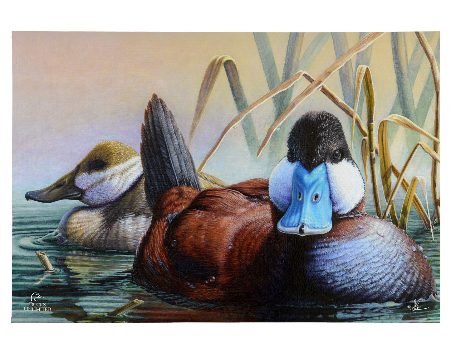 Day spring Gallery Wrapped Canvas - Official Ducks Unlimited Art