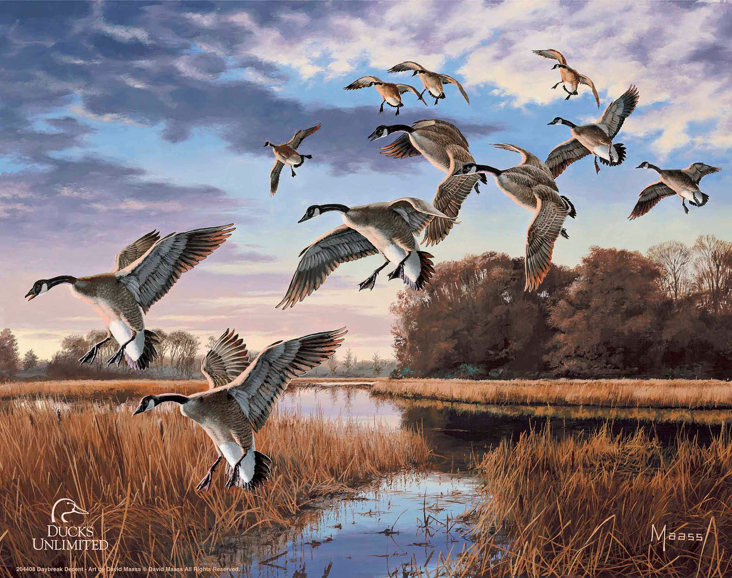 Daybreak Descent Canada Geese Art Prints - Official Ducks Unlimited Art