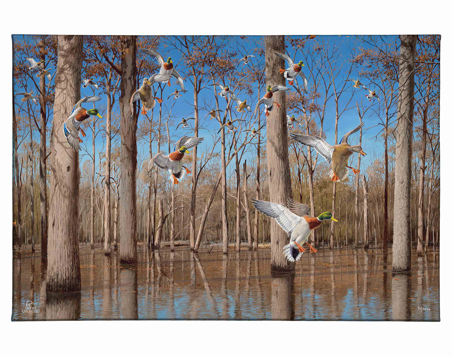 Down from the North - Mallards Gallery Wrapped Canvas - Official Ducks Unlimited Art