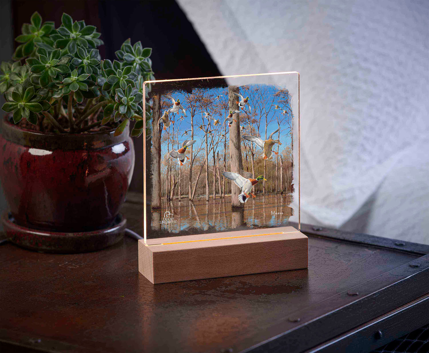 Down from the North - Mallards 6.37" x 6" Acrylic Night Light - Official Ducks Unlimited Art