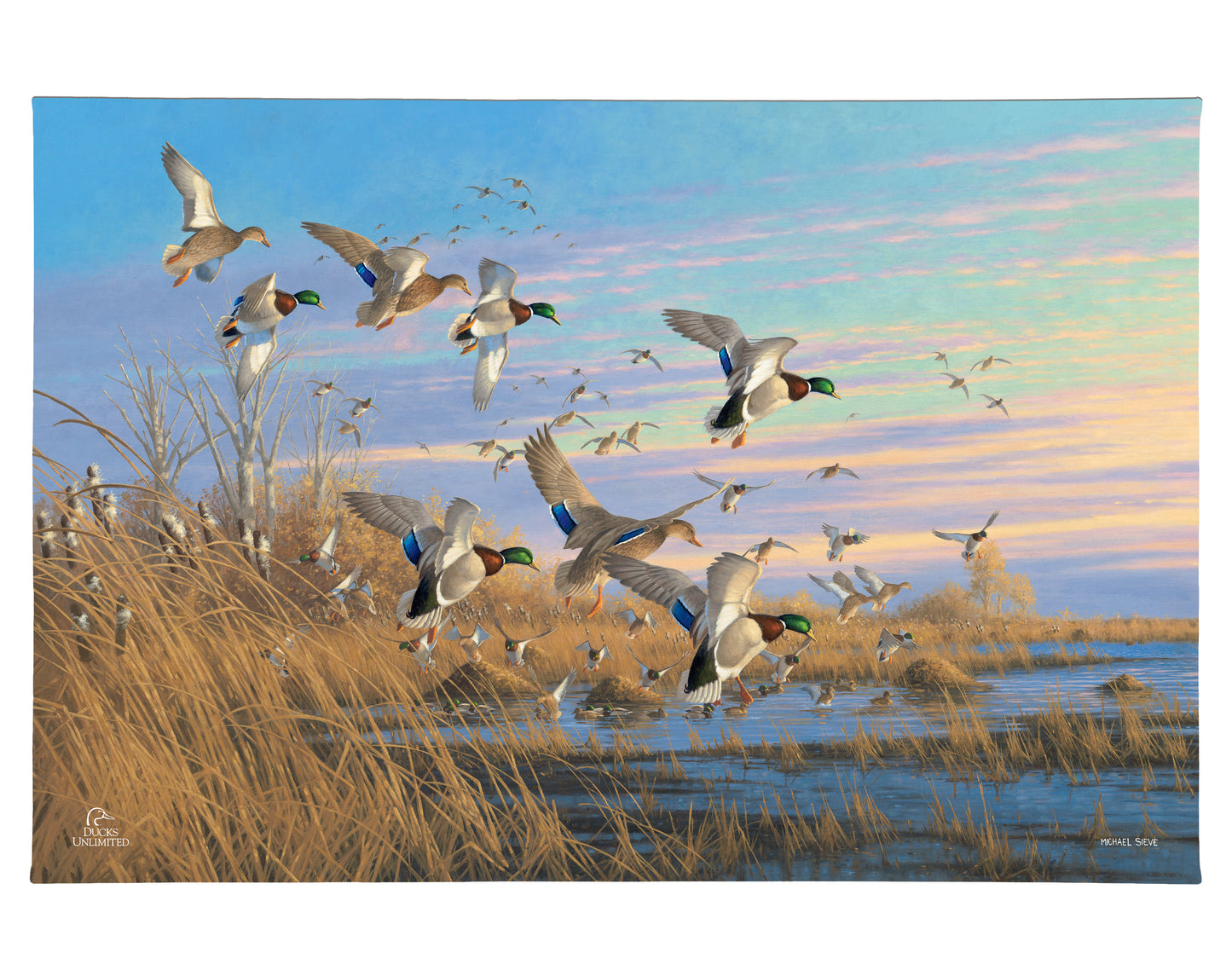 Dropping in Mallards Gallery Wrapped Canvas - Official Ducks Unlimited Art