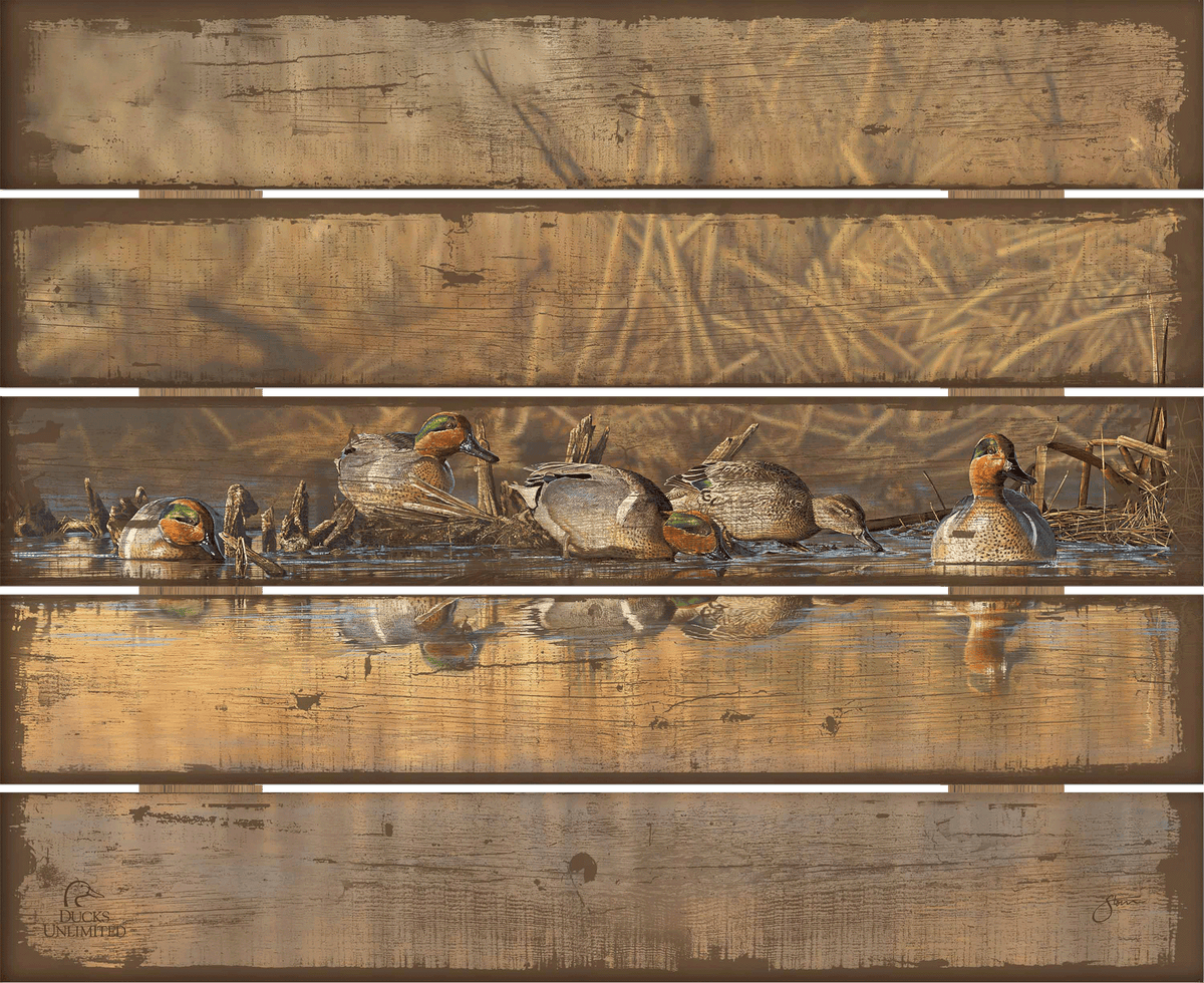 Emerald Waters - Green Wing Teal 18" x 22" Pallet Wall Art - Official Ducks Unlimited Art