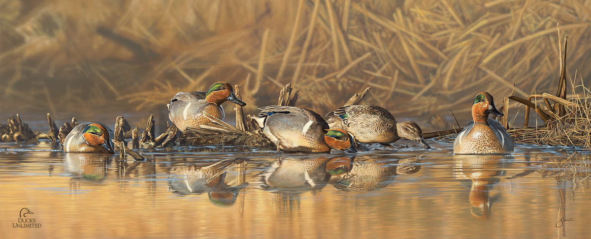 Emerald Waters - Green Wing Teal 12" x 30" Wood Sign - Official Ducks Unlimited Art