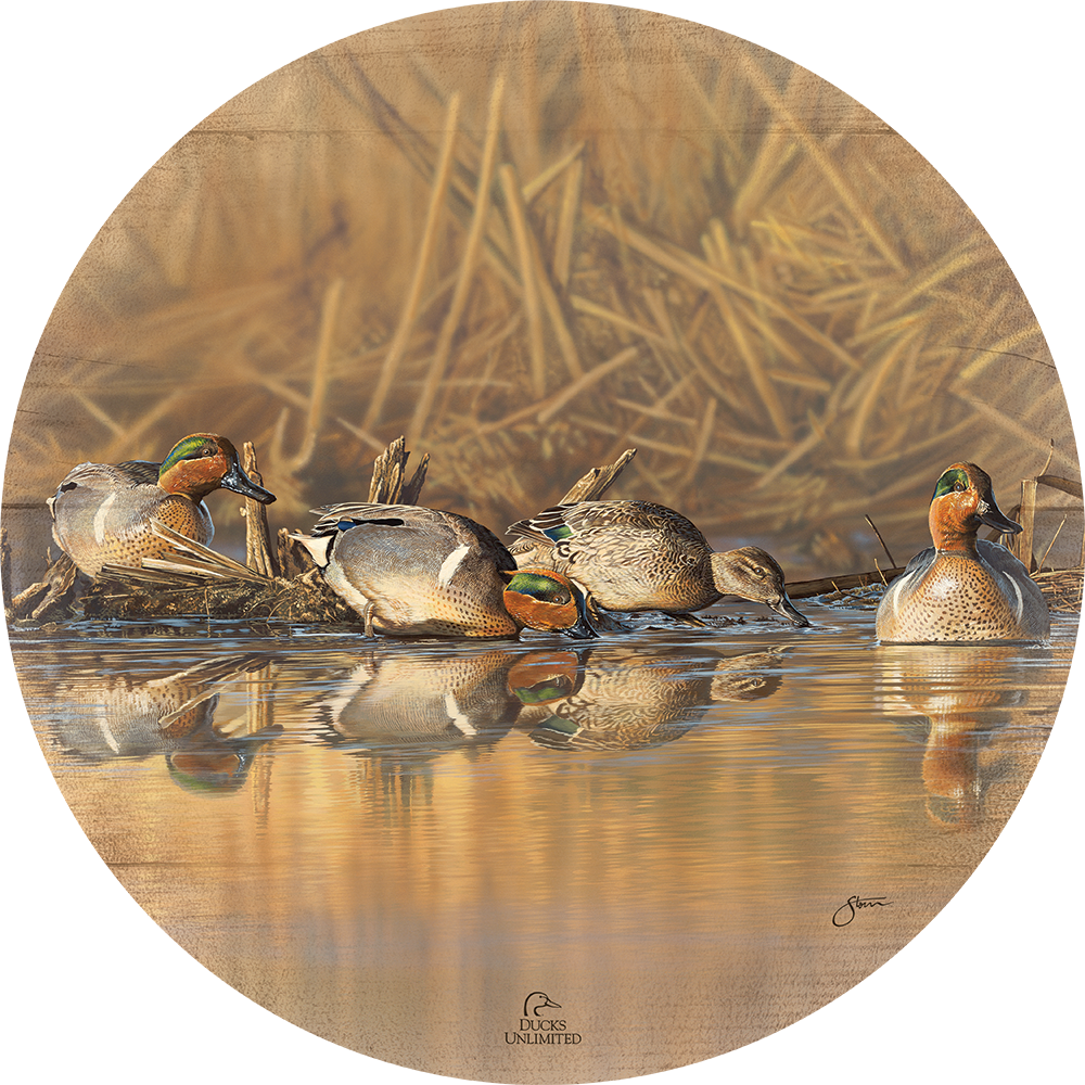 Emerald Waters - Green Wing Teal 21" Round Wood Sign - Official Ducks Unlimited Art