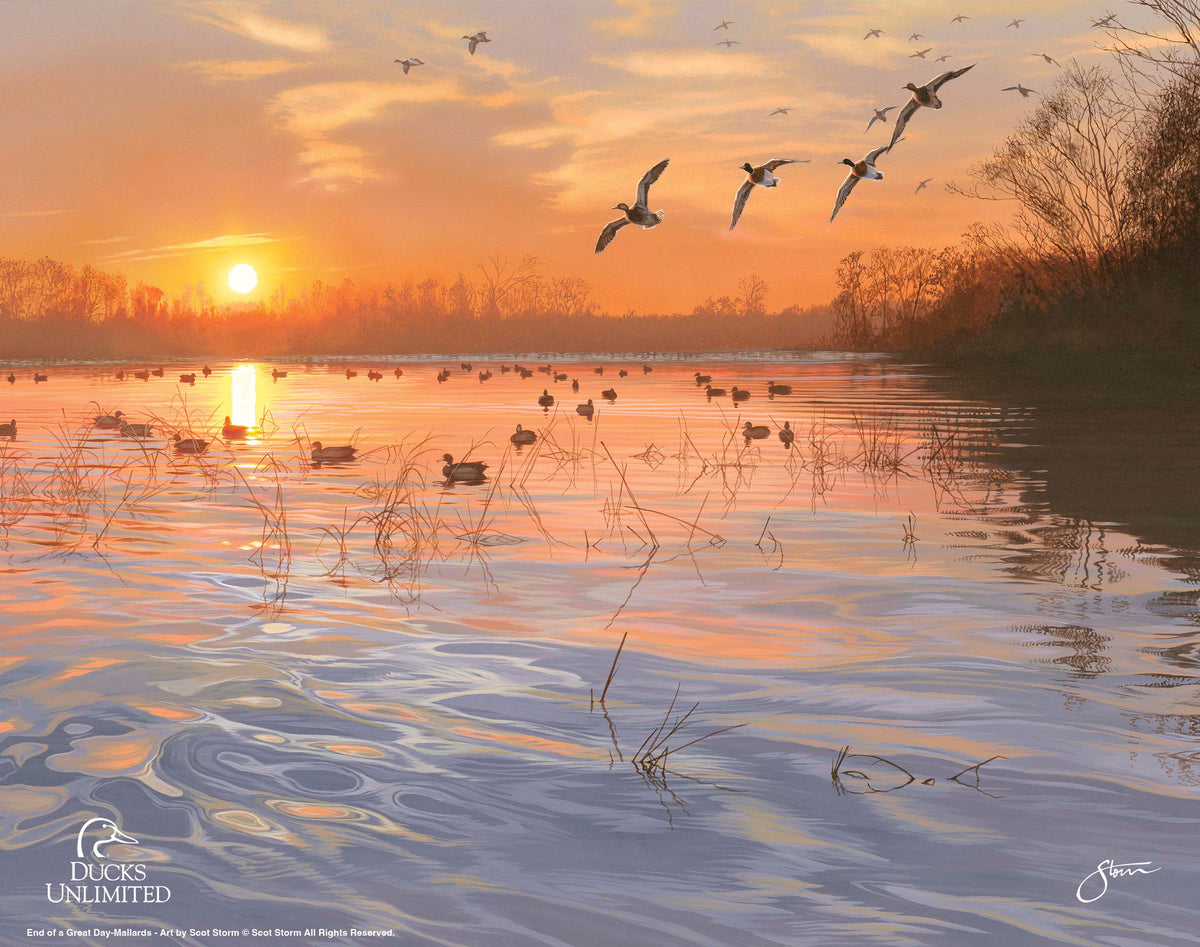 End of a Great Day Art Prints - Official Ducks Unlimited Art