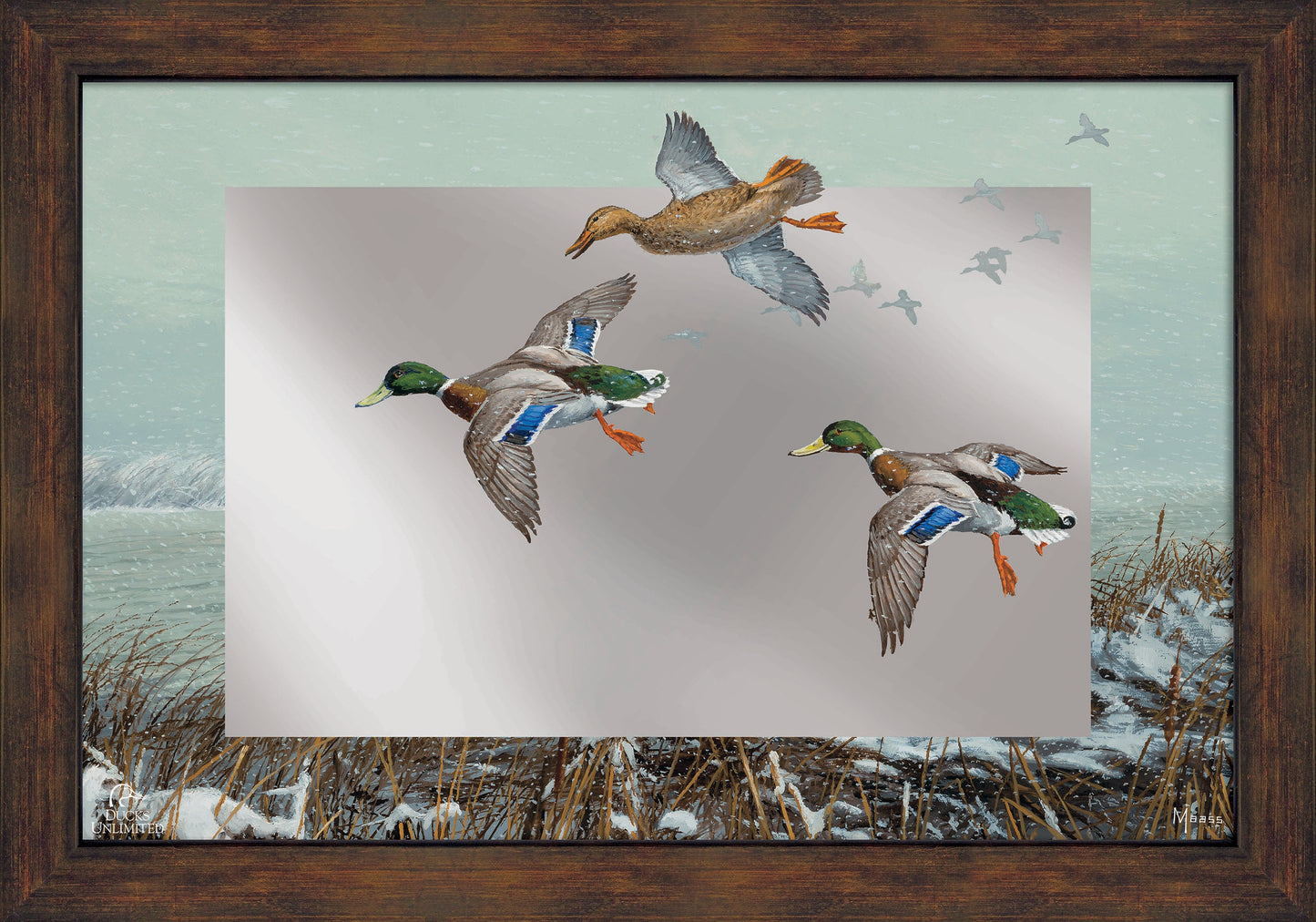 Finding Open Water - Mallards 16" x 24" Mirror Framed Barnwood - Official Ducks Unlimited Art