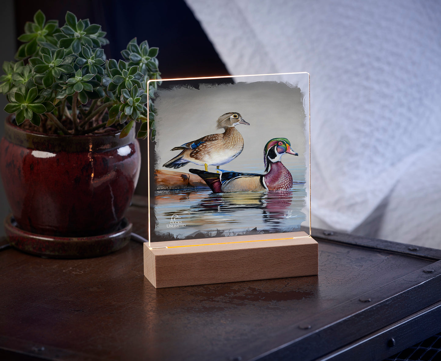 Foggy Day Woodies 6.37" x 6" Acrylic Nightlight - Official Ducks Unlimited Art