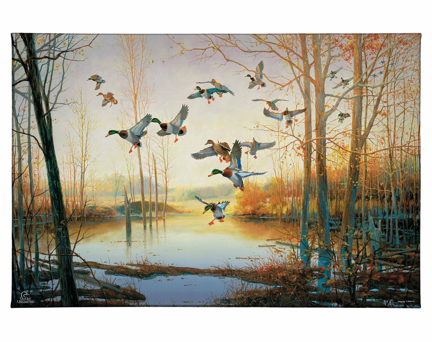 Graceful Descent Gallery Wrapped Canvas - Official Ducks Unlimited Art