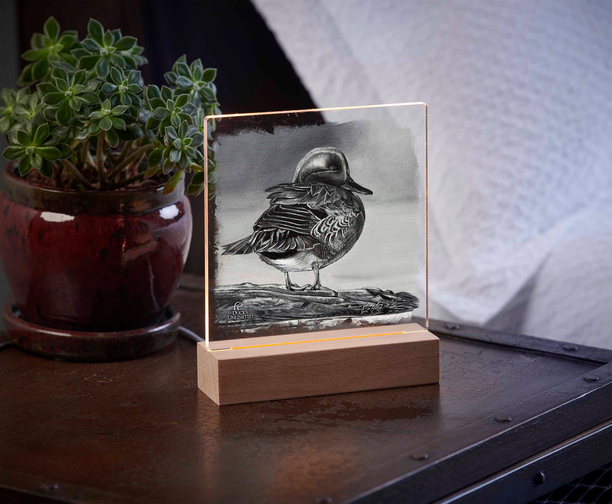 Green Winged Study 6.37" x 6" Acrylic Night Light - Official Ducks Unlimited Art