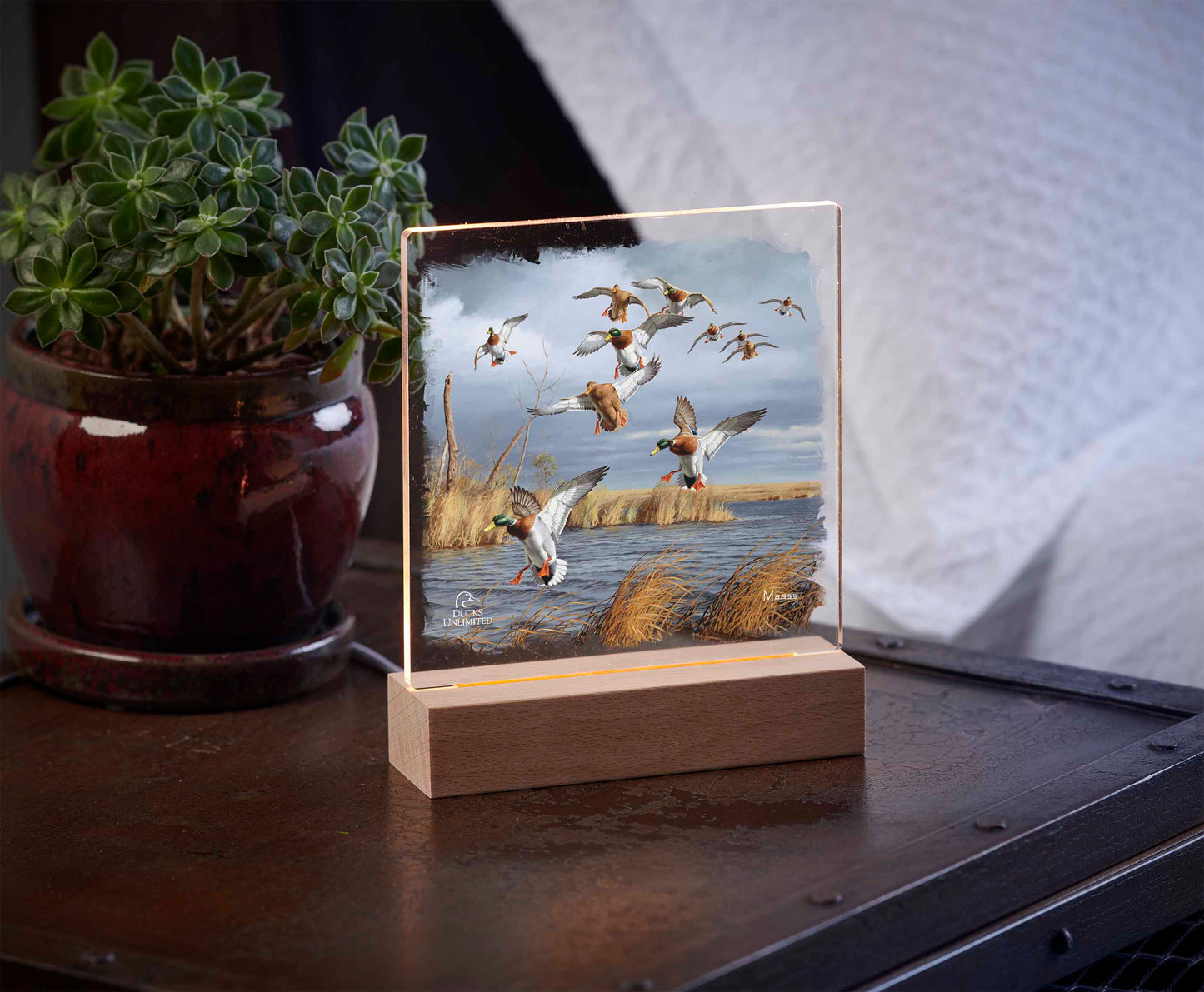 Greenhead Alert Mallards 6.37" x 6" Acrylic Nightlight - Official Ducks Unlimited Art