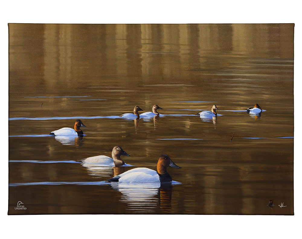 Kings March Gallery Wrapped Canvas - Official Ducks Unlimited Art