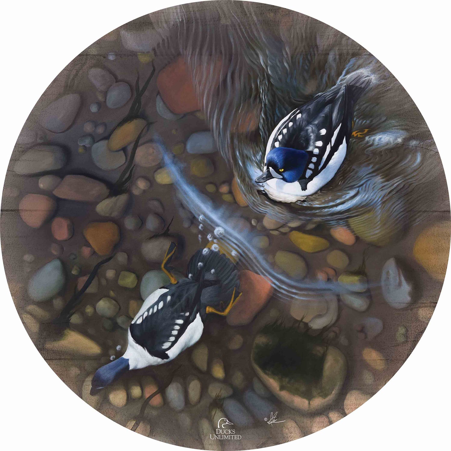 Lamar River Divers 21" Round Wood Sign - Official Ducks Unlimited Art