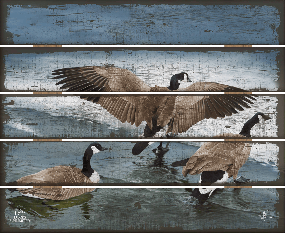 Later Winter in Yellowstone - 18" x 22" Pallet Wall Art - Official Ducks Unlimited Art