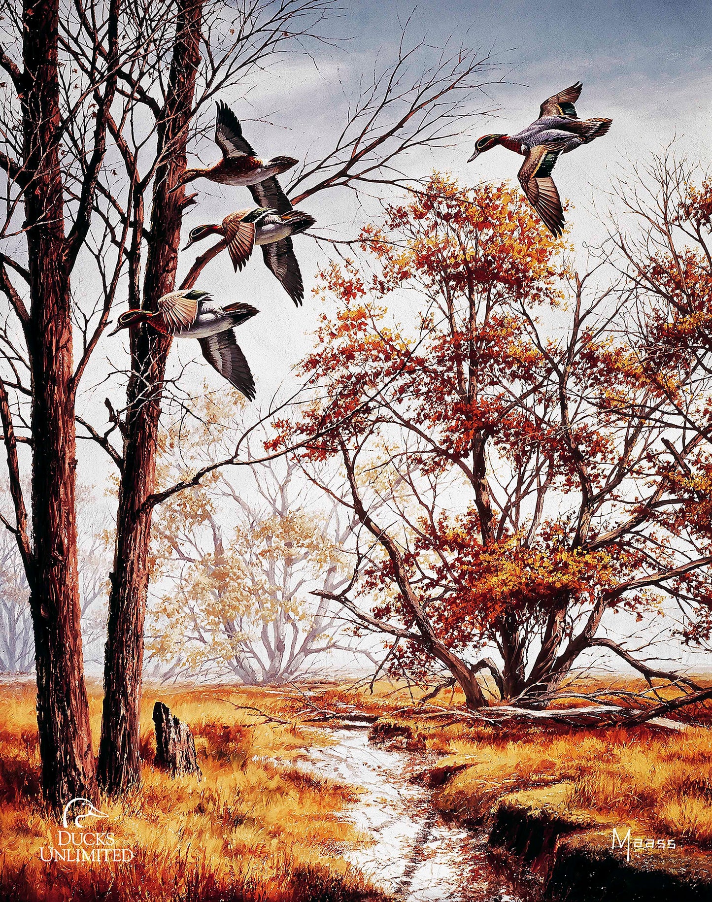 Misty Morning Greenwinged Teal Art Prints - Official Ducks Unlimited Art