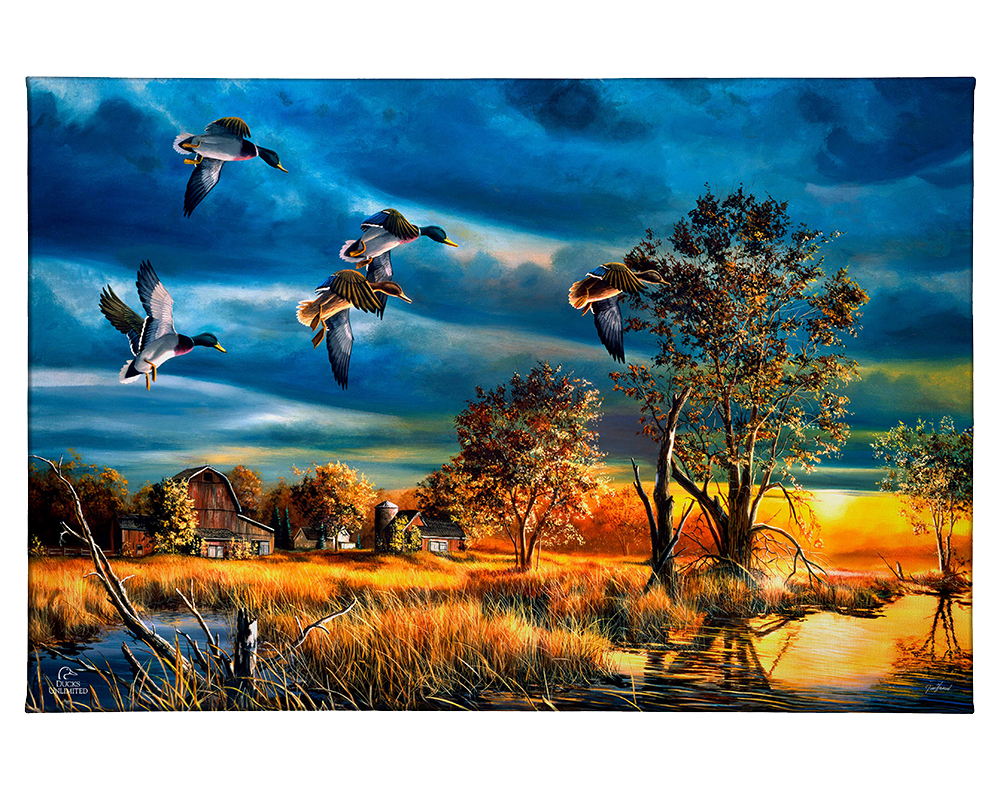 Morning Mallards Gallery Wrapped Canvas - Official Ducks Unlimited Art