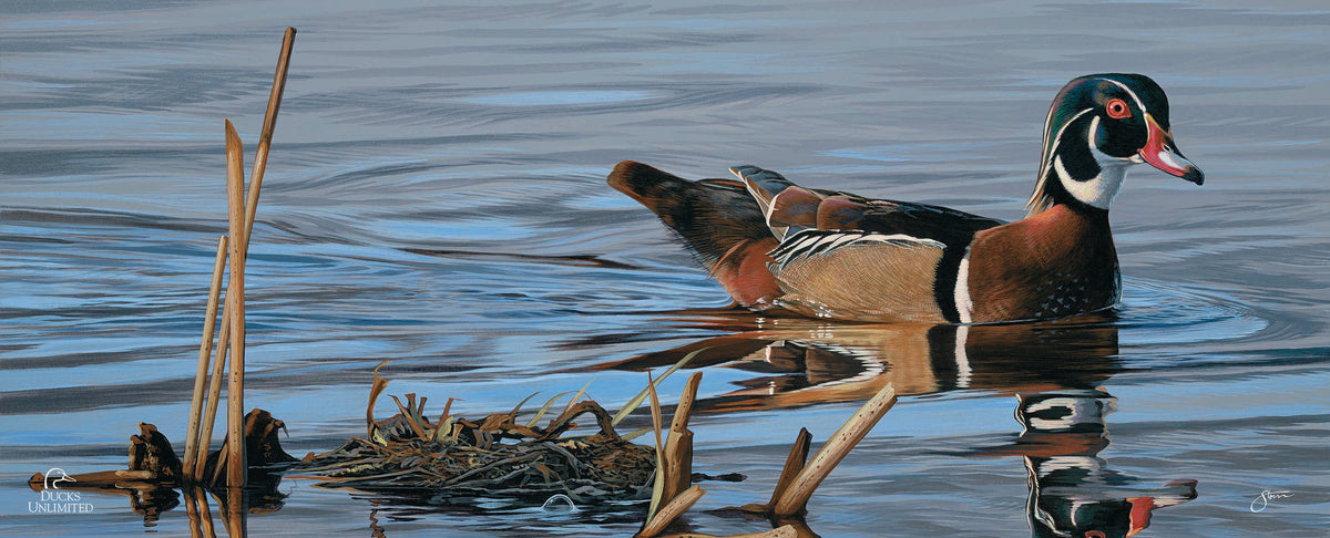 Morning Stroll 12" x 30" Wood Sign - Official Ducks Unlimited Art