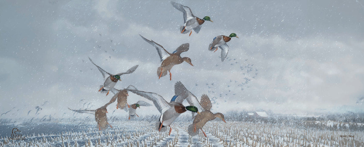 Northern Flight 12" x 30" Wood Sign - Official Ducks Unlimited Art
