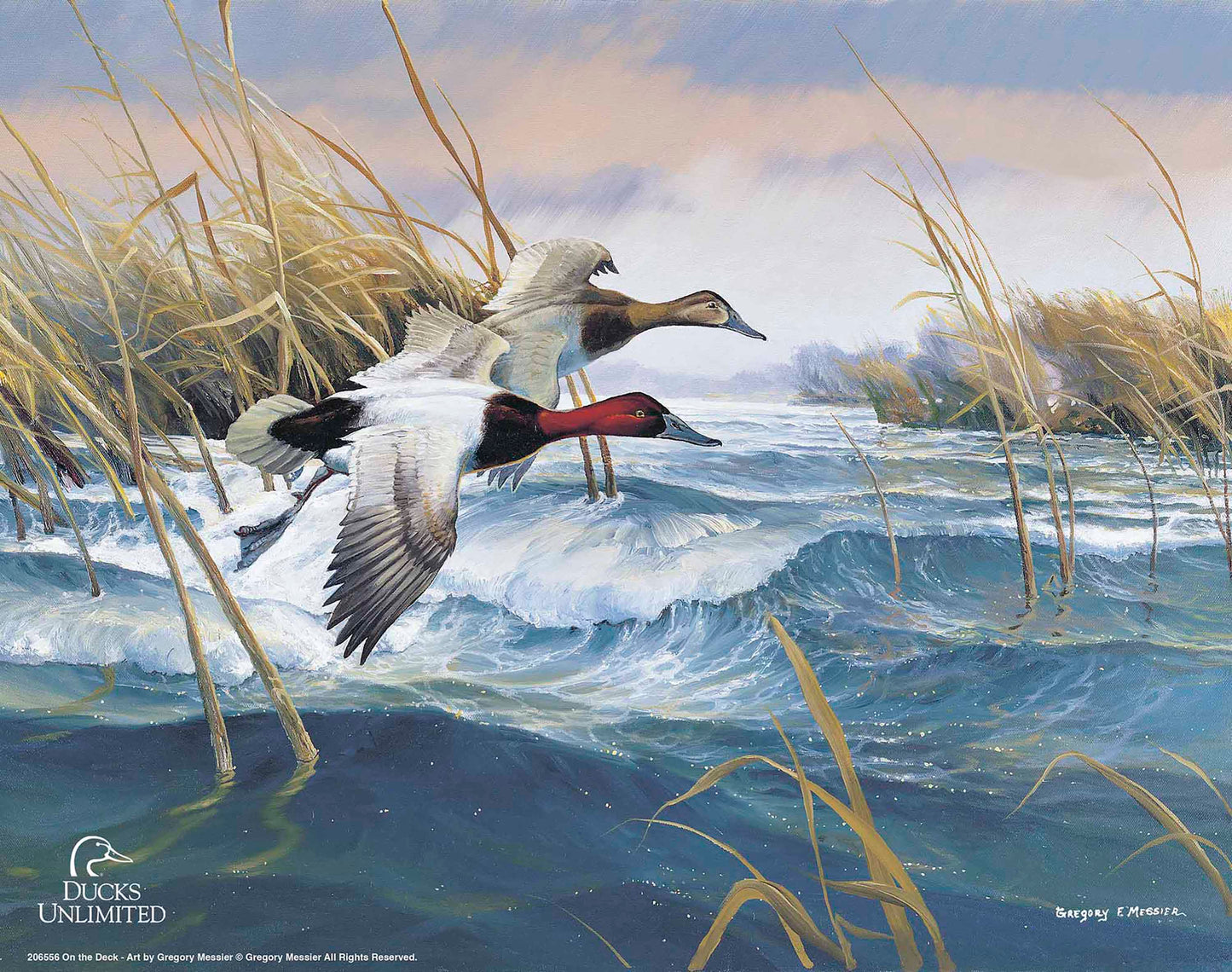 On the Deck Canvasbacks Art Prints - Official Ducks Unlimited Art
