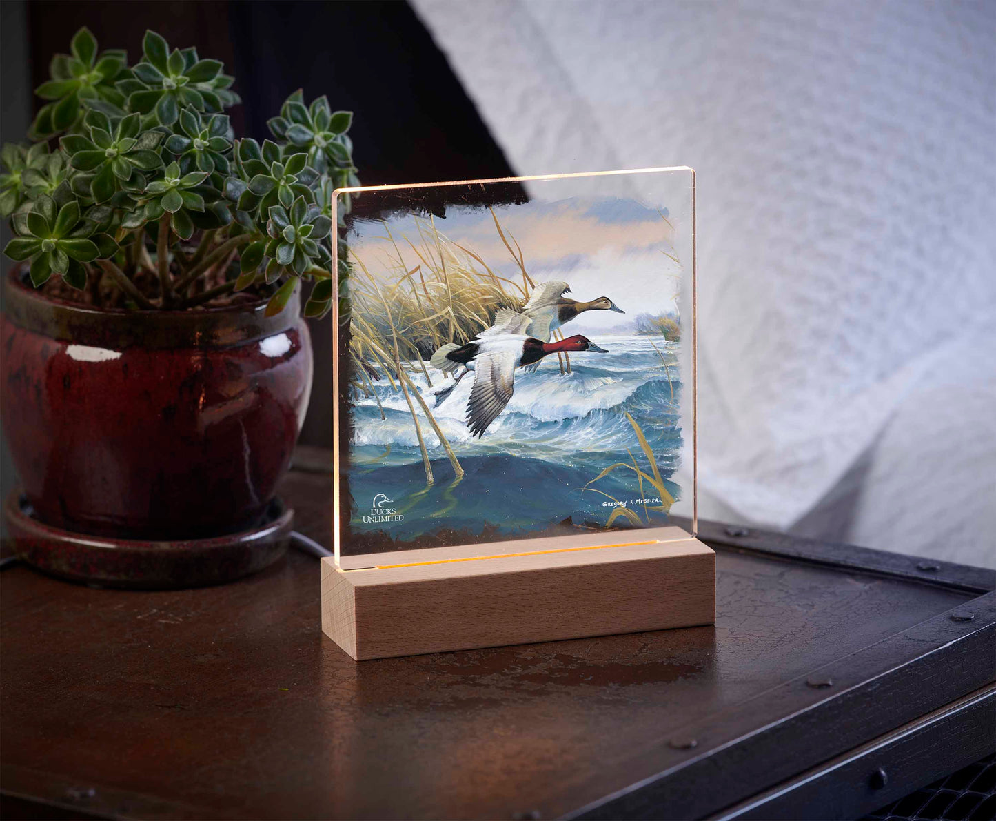 On the Deck Canvasbacks Acrylic Night Light - Official Ducks Unlimited Art