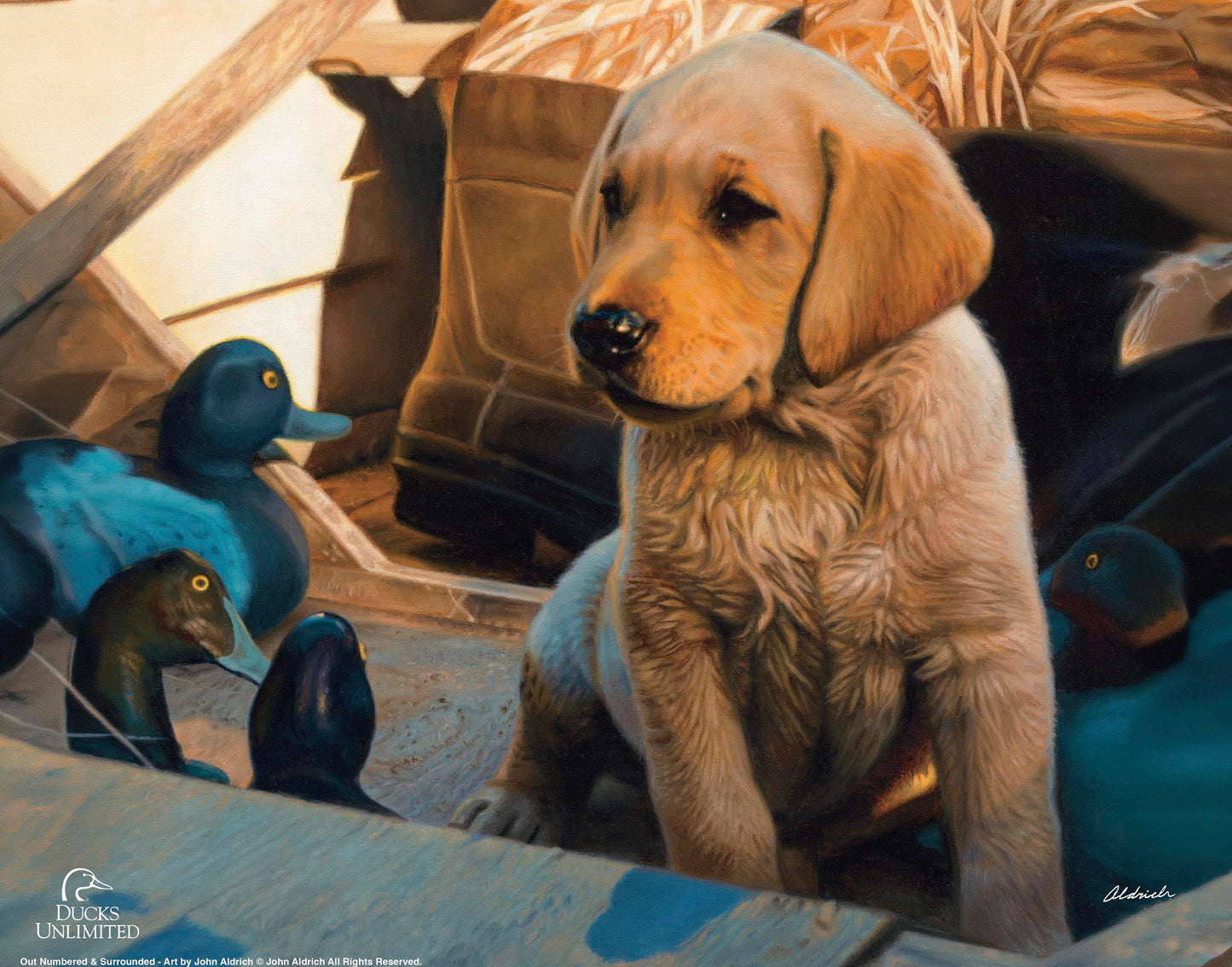 Out Numbered & Surrounded Art Prints - Official Ducks Unlimited Art