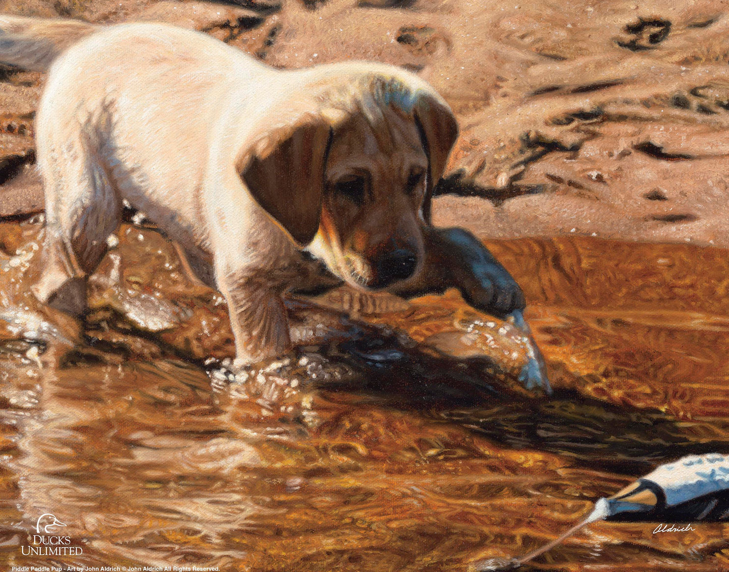 Piddle Paddle Pup Yellow Lab Art Prints - Official Ducks Unlimited Art