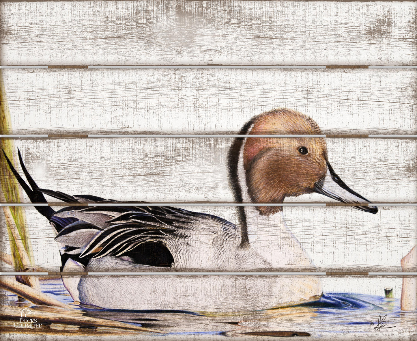 Pintail 18" x 22" Pallet Wall Art - Official Ducks Unlimited Art