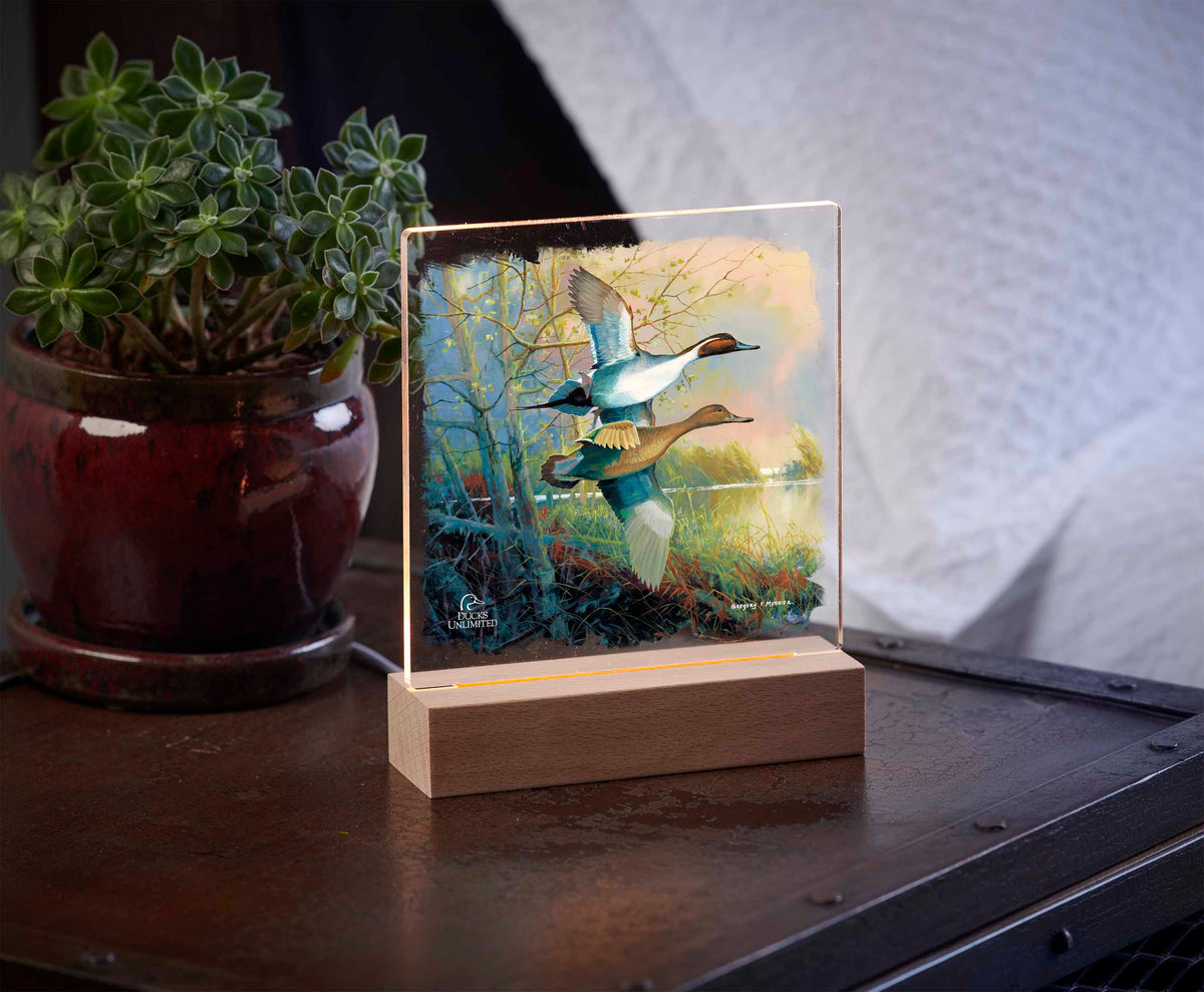 Pintails 6.37" x 6" Acrylic Night Light - Official Ducks Unlimited Art