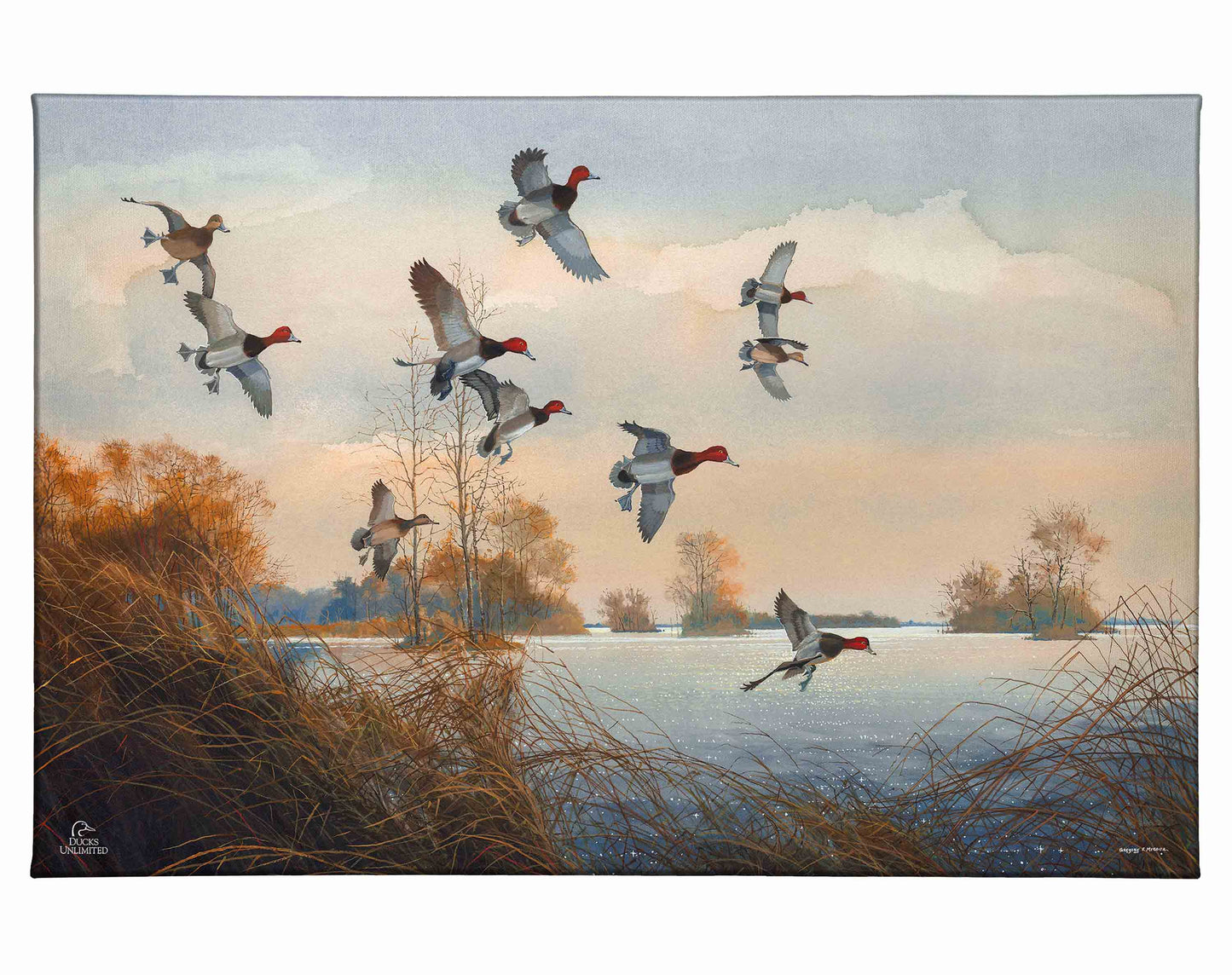 Redheads Redoubt Gallery Wrapped Canvas - Official Ducks Unlimited Art