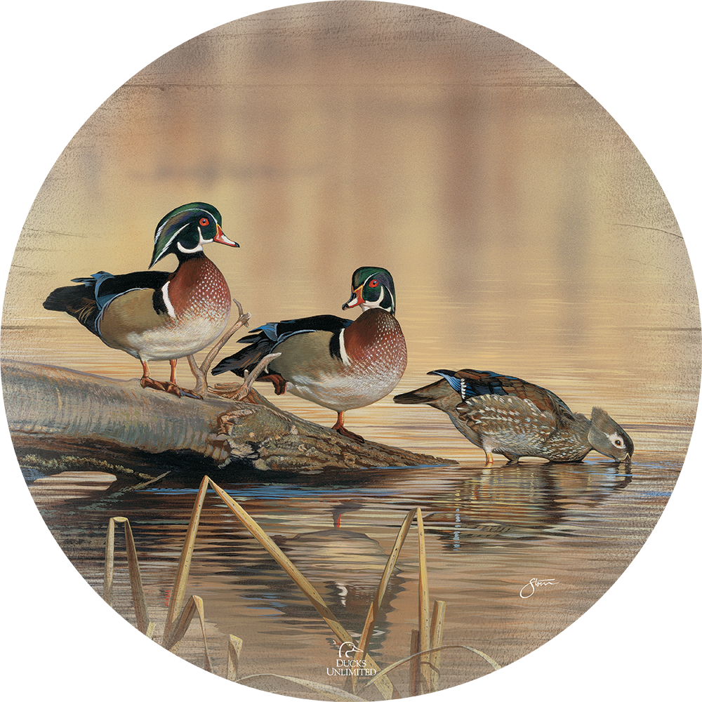 Resting Place - Wood Ducks 21" Round Wood Sign - Official Ducks Unlimited Art