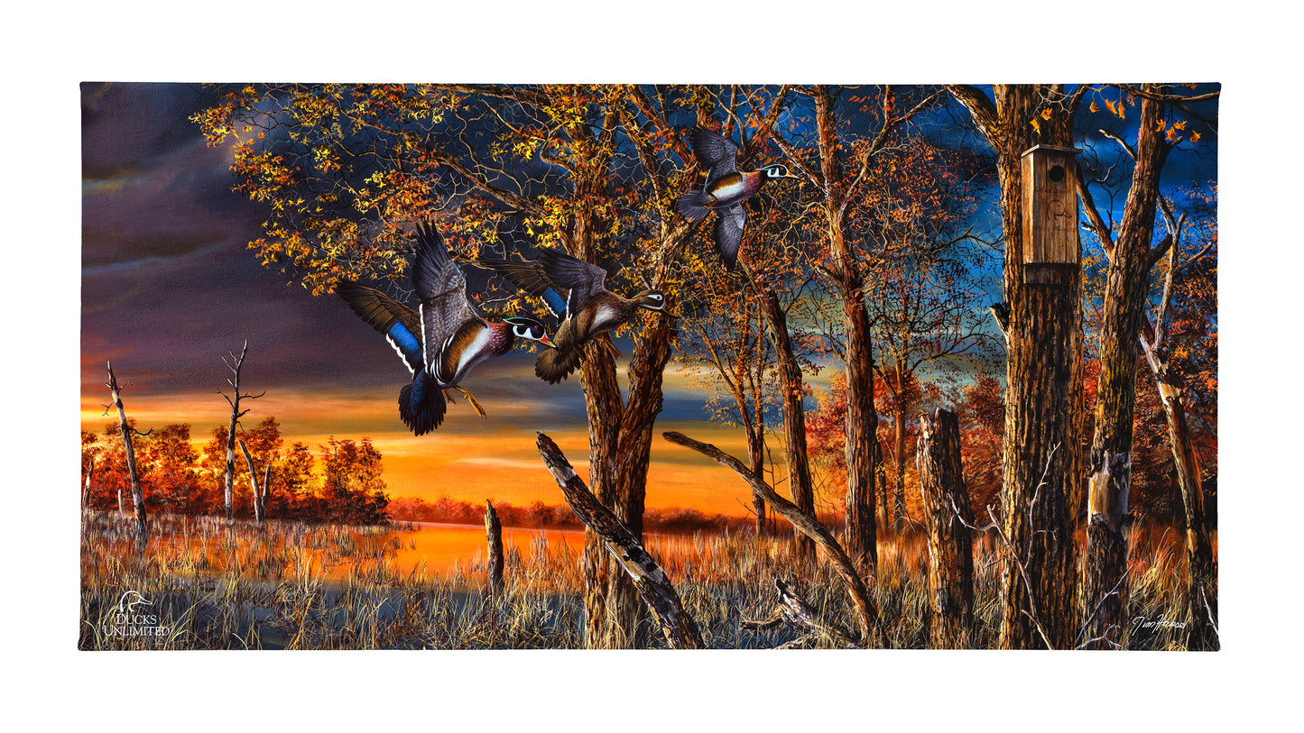 Return to the Refuge Gallery Wrapped Canvas - Official Ducks Unlimited Art