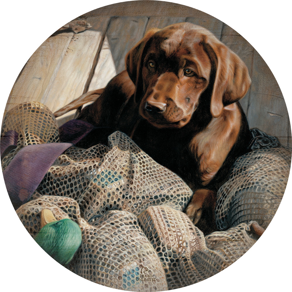 Rookie - Chocolate Lab 21" Round Wood Sign - Official Ducks Unlimited Art