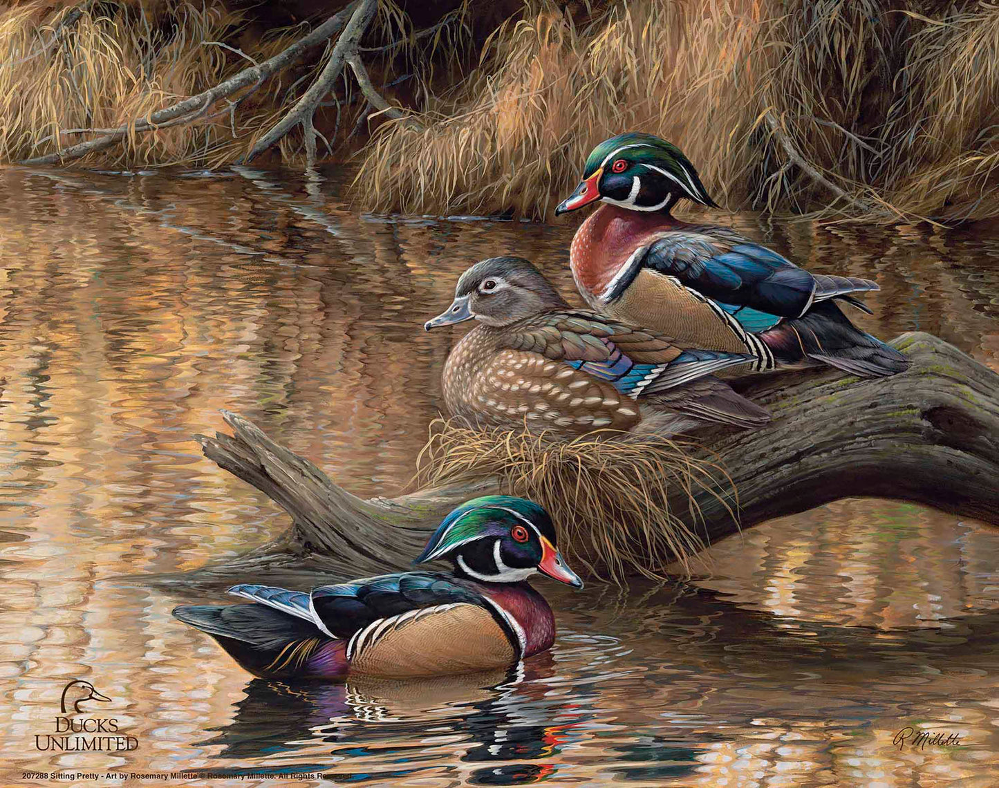 Sitting Pretty Wood Ducks Art Prints - Official Ducks Unlimited Art