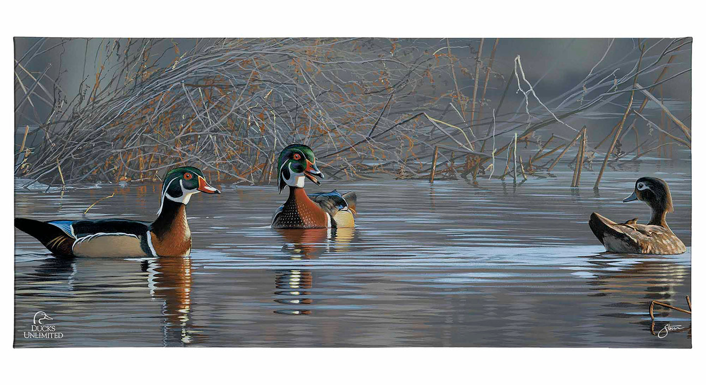 Springtime Chatter Wood Ducks Gallery Wrapped Canvas - Official Ducks Unlimited Art