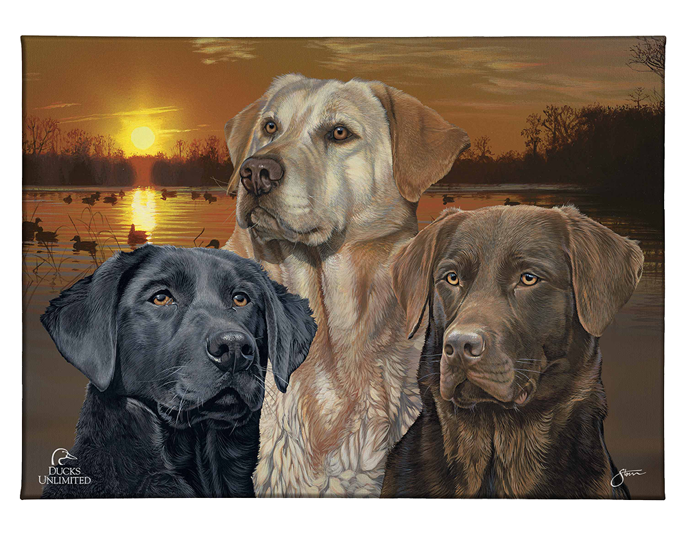 Labrador Retriever Element - Gallery Wrapped Canvas - Official Ducks Unlimited Art