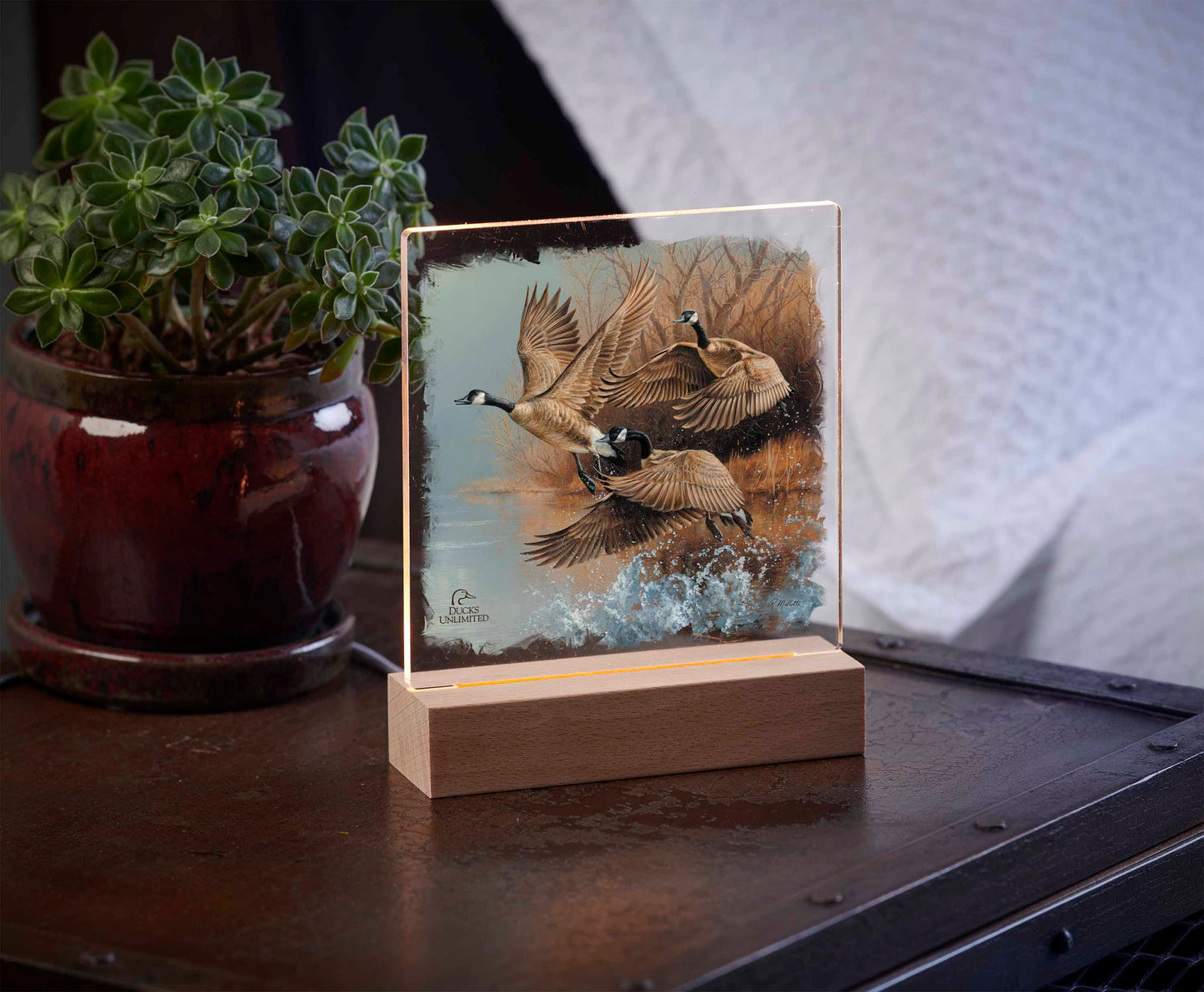 Taking Flight Canada Geese Acrylic Night Light - Official Ducks Unlimited Art